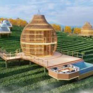 Bamboo house 2 floor 2